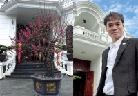 Văn Toàn khoe không khí tết rộn ràng tại biệt thự ở quê