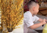 Hà Hồ chọn hoa màu vàng để trang trí Tết Giáp Thìn, nhìn Leon ai cũng khen mẹ khéo dạy con