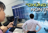 Chứng khoán vỡ lòng: 4 bài học phải lưu tâm cho GenZ để tránh ngày trắng tay ê chề
