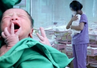 Tỷ lệ sinh thấp kỷ lục, nhân viên văn phòng Hàn Quốc có thể lĩnh gần 2 tỷ nếu sinh con, nhiều người vẫn băn khoăn