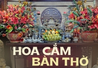 Thực hư chuyện cắm hoa ly trên bàn thờ làm hao tổn tài lộc, gia đạo ly tán?