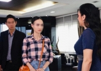 Trong bữa cơm tối, mẹ tôi đặt vỉ thuốc tránh thai lên bàn, tức giận đuổi vợ chồng anh trai ra ở riêng