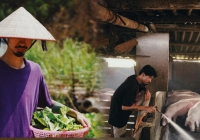 Căn nhà của Đen Vâu ở Quảng Ninh: Đơn sơ mà bình yên, có “chiếc view” nhìn thẳng ra biển