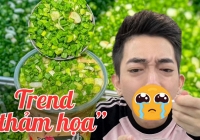 'Thảm họa' trà sữa hành lá: Câu tương tác là chính chứ chẳng mấy ai dám thử, trend gì cũng cần giữ sự tò mò trong khuôn khổ an toàn!