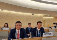 Việt Nam đề xuất tăng cường chống bạo lực trên cơ sở giới ở không gian mạng