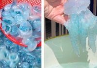 Con nuốc là con gì mà hôm nay lại xôn xao khắp MXH: Giá lên tới 200k/kg, từ món ăn độc lạ trở thành 'cơn sốt' ẩm thực