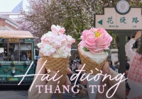 Mùa hoa hải đường cực hút khách ở thành phố Trung Quốc: Đứng góc nào cũng có ảnh đẹp, món 'kem hoa' tuyệt phẩm đang rần rần khắp cõi mạng