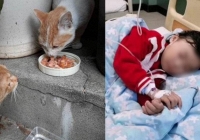 Bé gái 9 tuổi tổn thương xương khắp cơ thể, nghi ngờ khối u ác tính, nguyên nhân lại tìm thấy từ một con mèo hoang