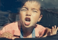 Giáo sư nổi tiếng: 3 biểu hiện 'báo động' trẻ có EQ thấp, mong con bạn không trúng cái nào