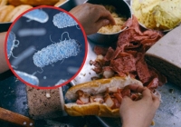 Vi khuẩn Salmonella được tìm thấy trong bánh mì khiến hơn 500 người ngộ độc ở Đồng Nai nguy hiểm thế nào?
