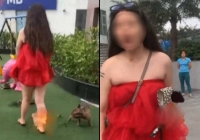 Bị nhắc nhở khi thú cưng phóng uế tại khu vui chơi trẻ em ở Hà Nội, cô gái vẫn cố cãi: 'Con chó cũng như trẻ con thôi'