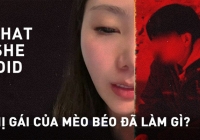 Chị gái của Lưu Kiệt đã làm gì? - '1 bộ phim' về Mèo Béo