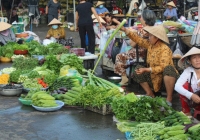Ai bảo Nam Định rẻ, nhà tôi thu nhập 15 triệu, chi tiêu cho 4 người/tháng vẫn không để được ra đồng nào!