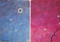 Bay bổng cùng “Khi linh hồn ta là cánh bướm” 