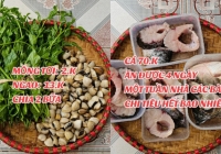 1 tuần đi chợ cho gia đình 4 người hết 264k ở Thái Bình: Giá ở nông thôn rẻ hay người nội trợ biết chi tiêu?