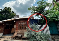 Gia cảnh của nữ giáo viên bị tấm bê tông ở quán cafe đè tử vong: Chồng công tác xa, một mình nuôi 2 con nhỏ