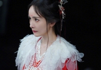 Dương Mịch lại bị cả MXH cười chê, ê chề chạm đỉnh