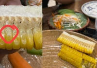 Vụ khách tố có trứng côn trùng trên bắp ngô nhưng nhân viên lại nói là 'sữa ngô': Đại diện nhà hàng chính thức lên tiếng!