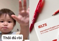 Nếu tiếng Việt có phần thi Listening như IELTS: Người bản xứ nghe chắc cũng 'lú' và nghi ngờ khả năng tiếng mẹ đẻ của chính mình