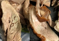 Miếng thịt vịt màu xanh đỏ khiến dân mạng tranh cãi: Người bảo 'khúc xạ ánh sáng', người nói thịt ôi sắp hỏng, tóm lại có ăn được không?