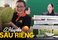 O Huyền sầu riêng xin lỗi nhưng không một ai 'buông tha': Họa từ miệng mà ra, nhưng không chỉ mình cô gánh hậu quả!