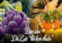 Đà Lạt có món 'thảo dược vàng' trứ danh mà nhiều người bỏ qua, vị ngọt nhưng giúp hạ đường huyết, lại bổ gan thận, lợi mật, lọc máu
