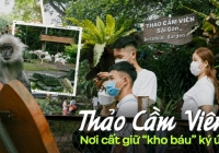 Thảo Cầm Viên: Từ “kho báu” ký ức của người Sài Gòn, đìu hiu trong dịch Covid-19 đến sự 'hồi sinh' mạnh mẽ và đáng yêu của bầy thú
