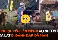 Xác minh vụ chú chó chụp ảnh với du khách ở Đà Lạt bị đánh đập dã man
