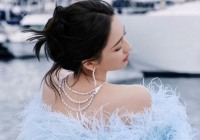 Mỹ nhân Tân Cương hàng đầu bị tố cặp kè quan chức, làm tú bà cho đường dây buôn bán tình dục trong showbiz