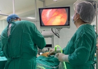 Sốc: Lấy ra sinh vật sống dài 65cm từ người đàn ông nhập viện vì đau bụng mãi không khỏi