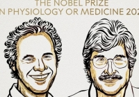Giải Nobel Y sinh 2024 vinh danh phát minh RNA siêu nhỏ trong điều hòa gene