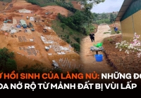 Sự hồi sinh của Làng Nủ: Những đóa hoa dần nở rộ từ mảnh đất từng bị vùi lấp bởi cơn lũ kinh hoàng