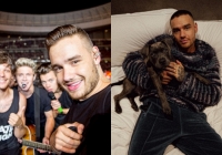 Xót xa bài đăng đầu tiên sau nửa thập kỷ của nhóm nhạc hàng đầu thế giới: Lời chia tay thành viên đã qua đời!