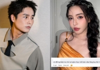 Tăng Duy Tân gia nhập hội 'chỉ riêng mình em', nhưng fan Bích Phương lại không thích 'anh rể'