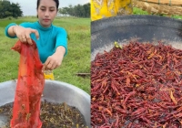 27 triệu người tiếc ngẩn ngơ trước cảnh cô gái đang nấu ăn thì nguyên liệu bay đi mất