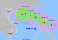 Bộ Nông nghiệp và Phát triển nông thôn ban hành Công điện chỉ đạo ứng phó bão TORAJI 