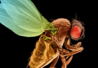 Sáu “khoảnh khắc” khoa học quan trọng trong năm 2024 sẽ định hình tương lai