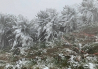 Miền Bắc rét đậm, rét hại: Những kiến thức cần lưu ý để bảo vệ sức khoẻ