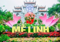 Hòa Minzy, Đức Phúc hội ngộ tại khai mạc Lễ hội hoa Mê Linh cuối tháng này