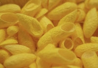 Nghiên cứu chế vỏ thuốc từ tơ tằm