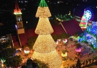 Cây thông Noel đặc biệt được làm từ 3.800 nón lá ở Đồng Nai