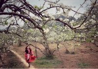 Du Xuân xuyên Tết - Xu hướng trải nghiệm mới của gia đình Việt