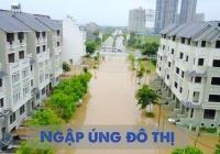 Bể chứa nước mưa ngầm bằng nhựa: Giải pháp mới giúp kiểm soát ngập úng đô thị