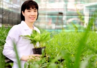  PGS.TS Nguyễn Thị Ái Nhung được trao Giải xuất sắc tại Giải thưởng Sáng tạo châu Á 2024