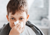 Dịch cúm mùa trên thế giới: Những diễn biến mới