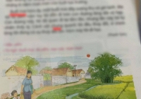 Bà mẹ là cựu học sinh giỏi Tỉnh chê bài đọc trong SGK, hội phụ huynh ngán ngẩm: Chị đã mất 1 phần tuổi thơ!