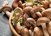 Phát hiện khả năng giảm nguy cơ viêm phổi biến chứng do cúm từ nấm 