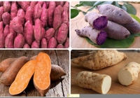 11 lợi ích thần kỳ nếu bạn nên ăn khoai lang mỗi ngày