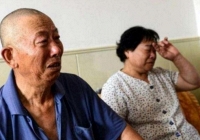 Con trai khoe vợ bán đất được 4 tỷ, tự nhiên tôi rùng mình nghĩ đến chuyện con dâu còn nợ mình 700 triệu mà không có ý định trả