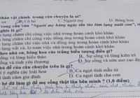 Bài tập tiếng Việt vỏn vẹn 4 TỪ khiến hàng ngàn người thổn thức